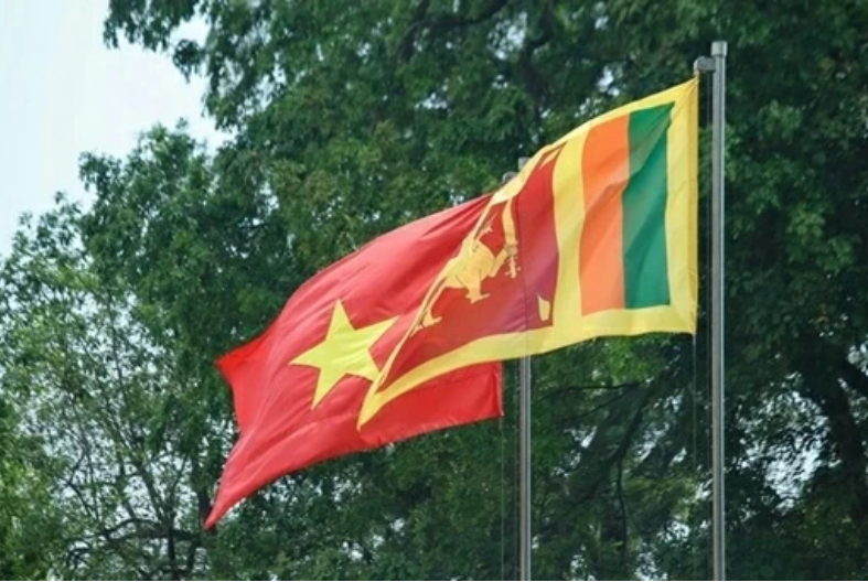 Ảnh 2 bài 11.png